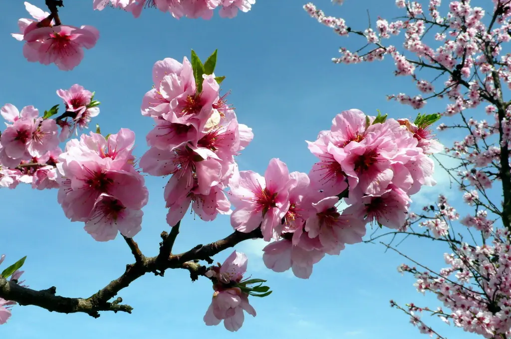 Condolence image of Ellen mit Lina ♥️