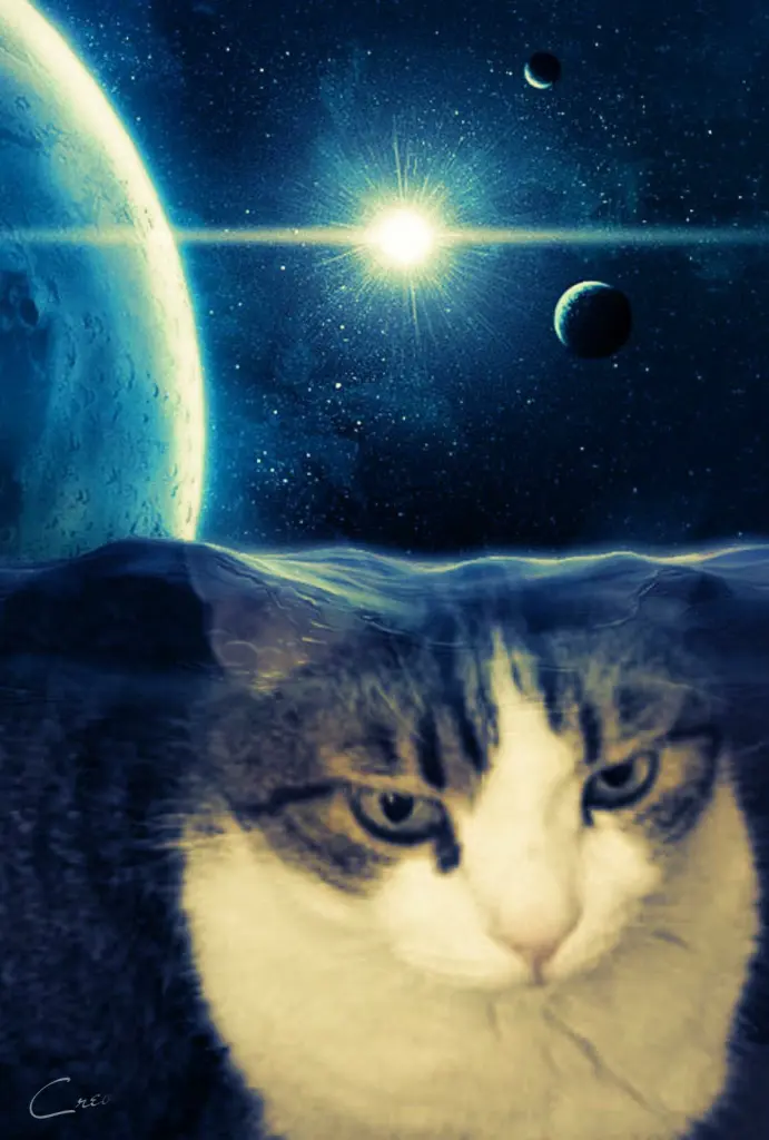 Condolence image of Ellen mit Lina ♥️