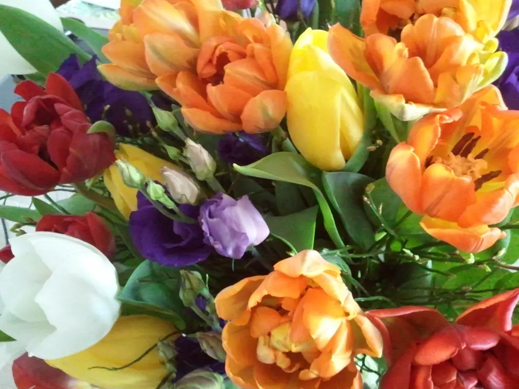 Condolence image of Anja mit Maja im ♥