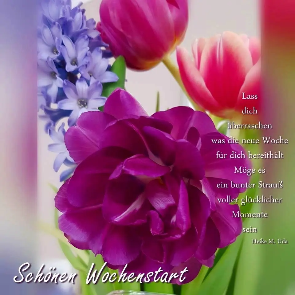 Condolence image of Sabine mit Kaspar tief im Herzen