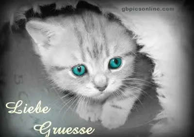 Condolence image of Ellen mit Lina ♥️