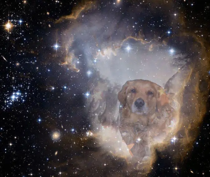 Condolence image of Ellen mit Lina ♥️