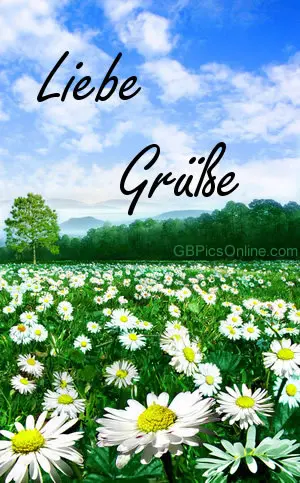 Condolence image of Ellen mit Lina ♥️