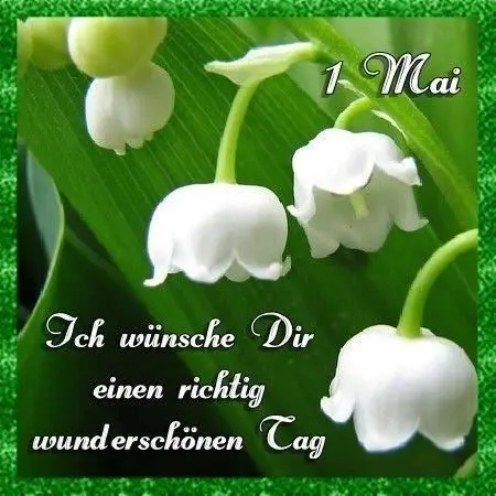 Condolence image of Sabine mit Kaspar tief im Herzen