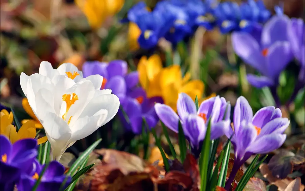 Condolence image of Ellen mit Lina ♥️