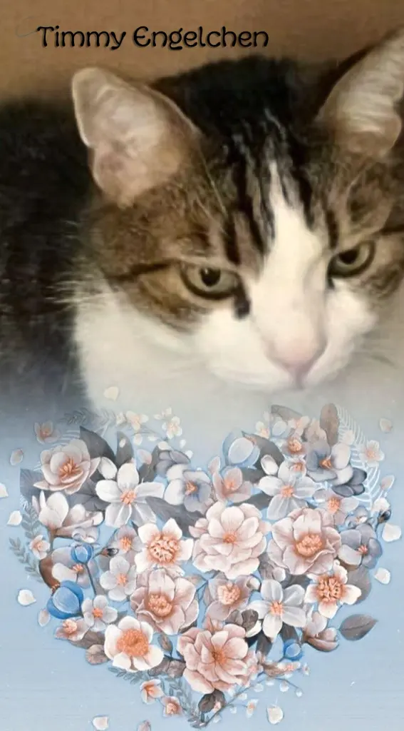 Condolence image of Ellen mit Lina ♥️