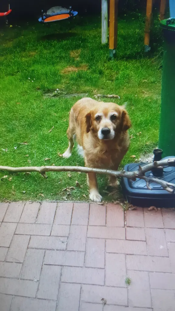 Condolence image of Ellen mit Lina ♥️