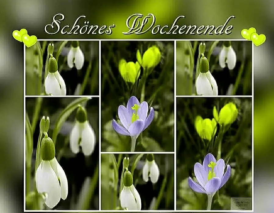 Condolence image of Sabine mit Kaspar tief im Herzen