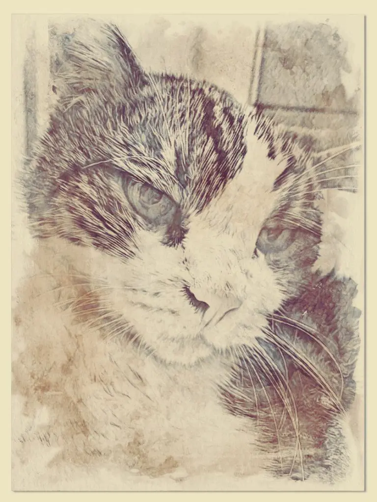 Condolence image of Ellen mit Lina ♥️