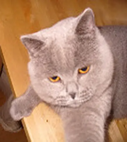 Condolence image of Sabine mit Kaspar tief im Herzen