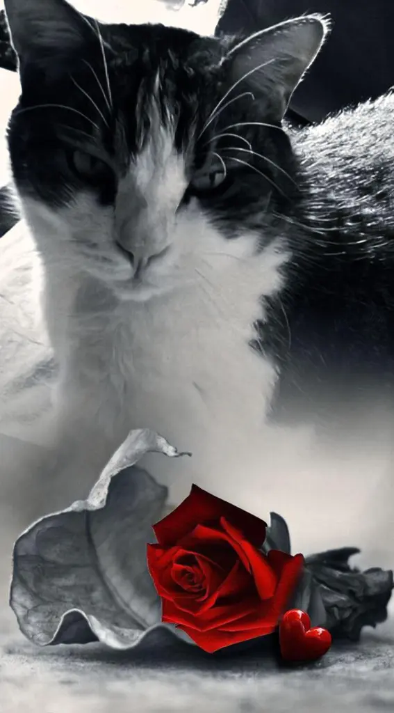 Condolence image of Ellen mit Lina ♥️