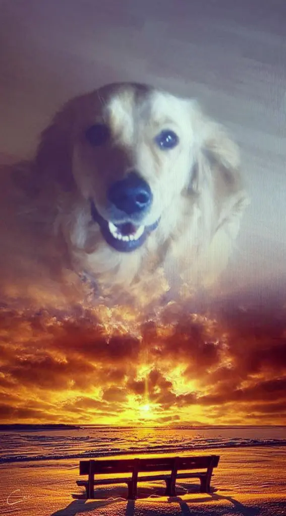 Condolence image of Ellen mit Lina ♥️