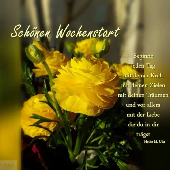 Condolence image of Sabine mit Kaspar tief im Herzen