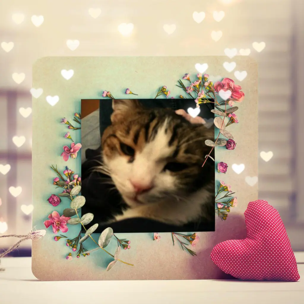 Condolence image of Ellen mit Lina ♥️