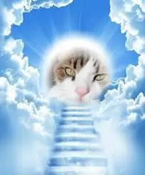 Condolence image of ❤️❤️❤️