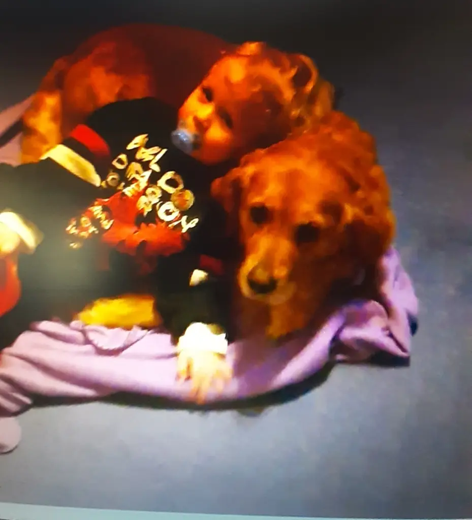 Condolence image of Ellen mit Lina ♥️