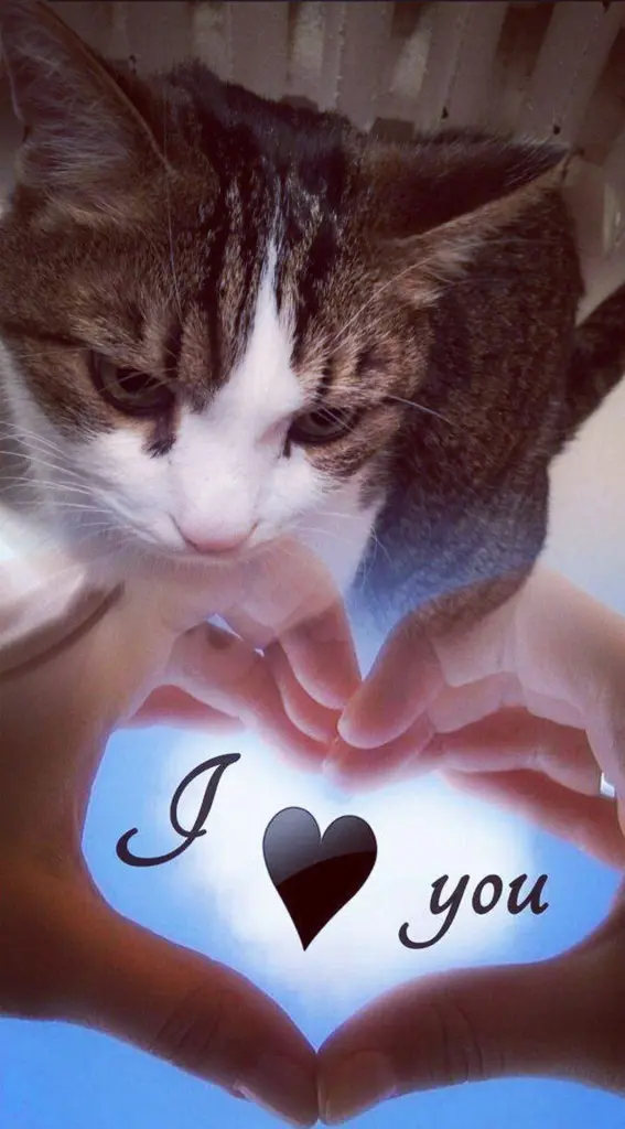 Condolence image of Ellen mit Lina ♥️