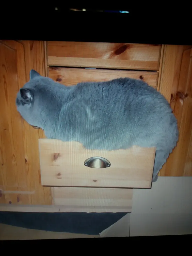 Condolence image of Sabine mit Kaspar tief im Herzen