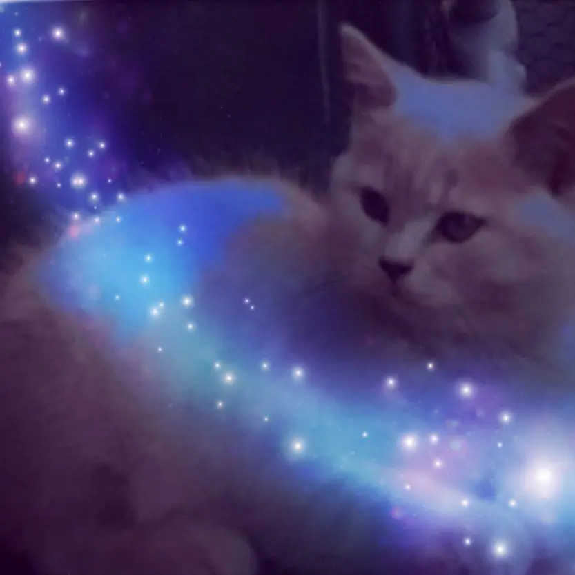 Condolence image of Unbekannt