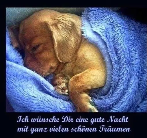 Condolence image of Ellen mit Lina ♥️