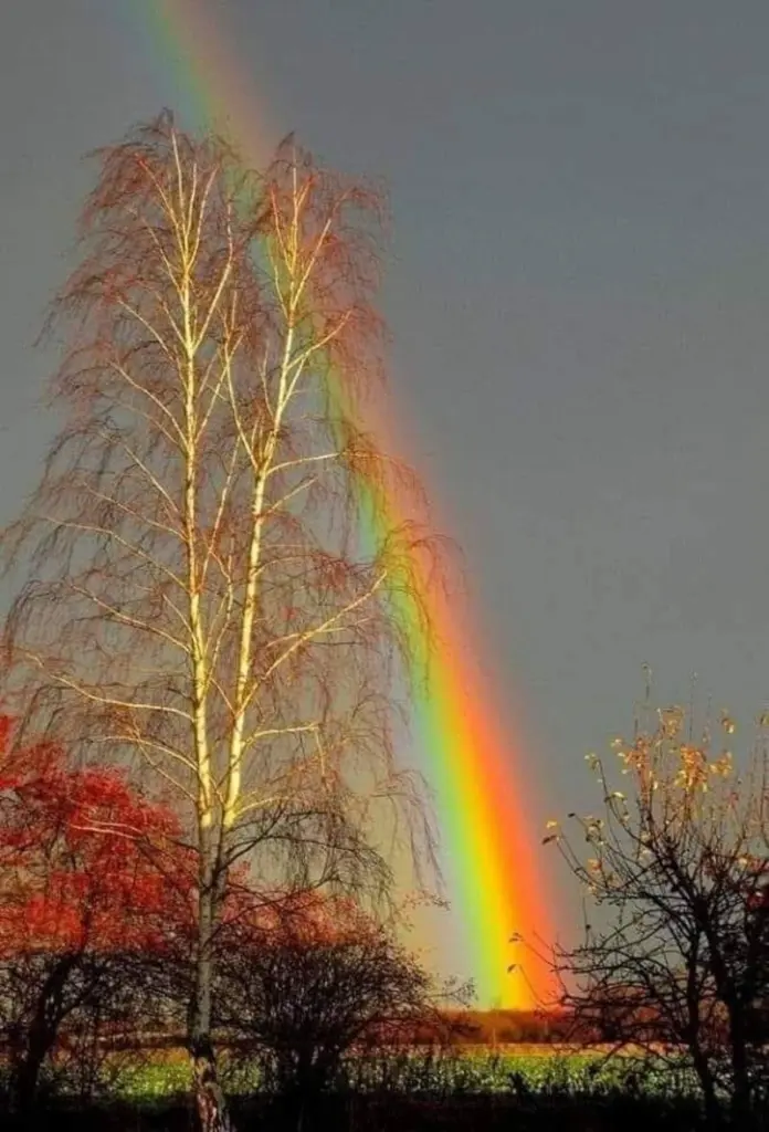 Condolence image of Sabine mit Kaspar tief im Herzen