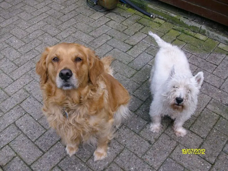 Condolence image of Ellen mit Lina ♥️