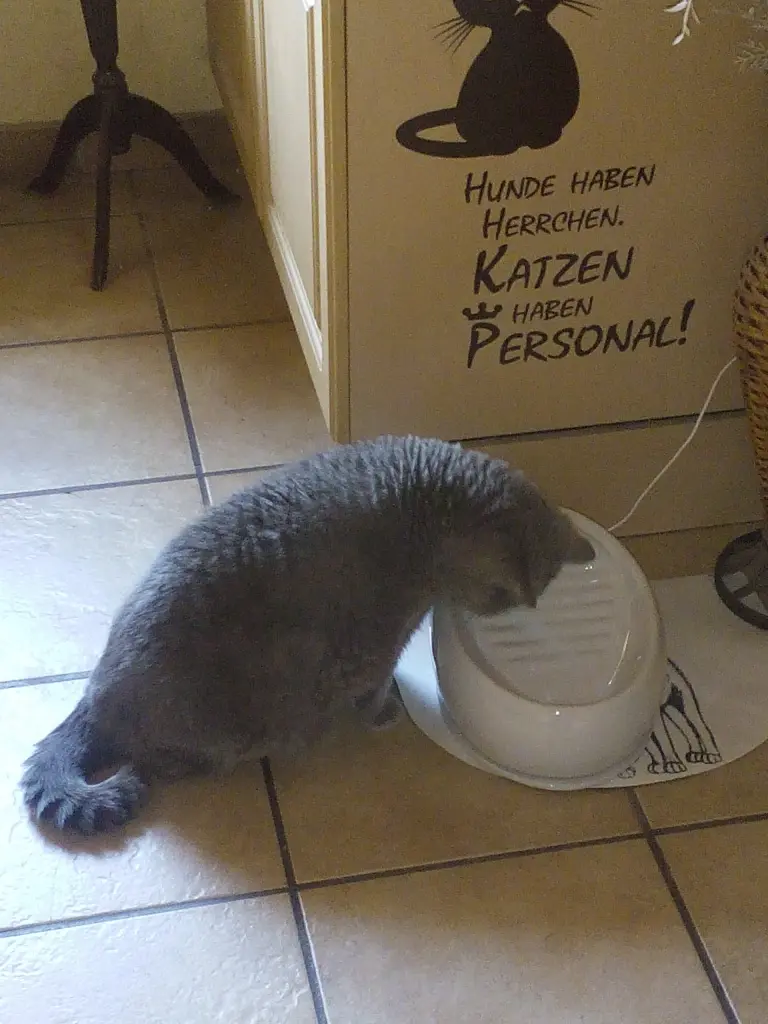 Condolence image of Sabine mit Kaspar tief im Herzen