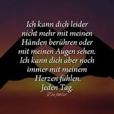 Condolence image of Ilse mit ihren geliebten Sternlein im Herzen