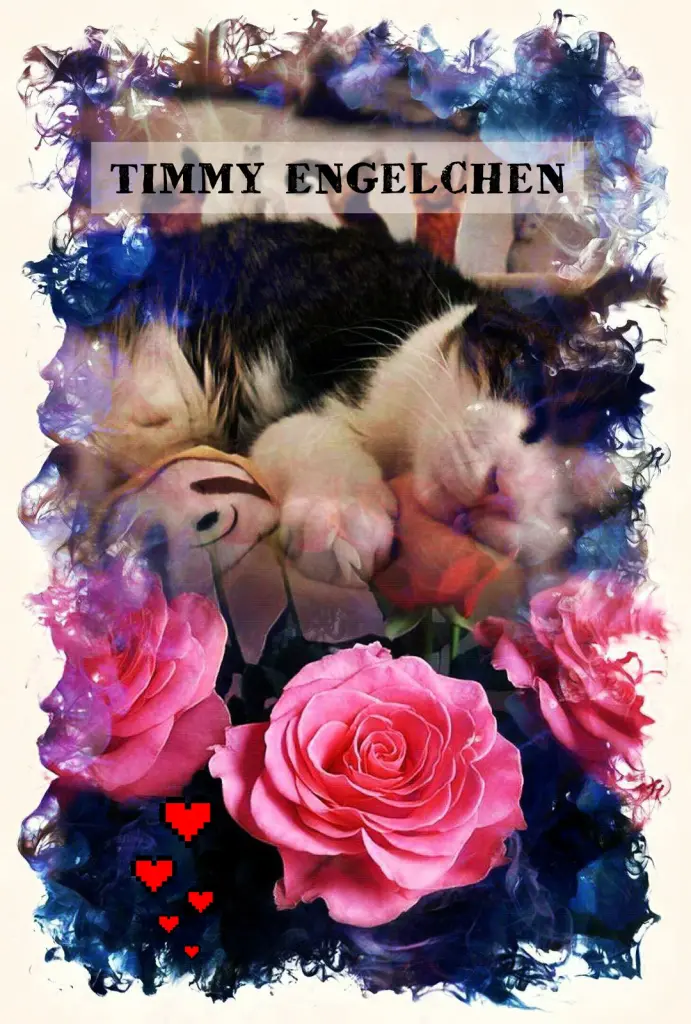 Condolence image of Ellen mit Lina ♥️