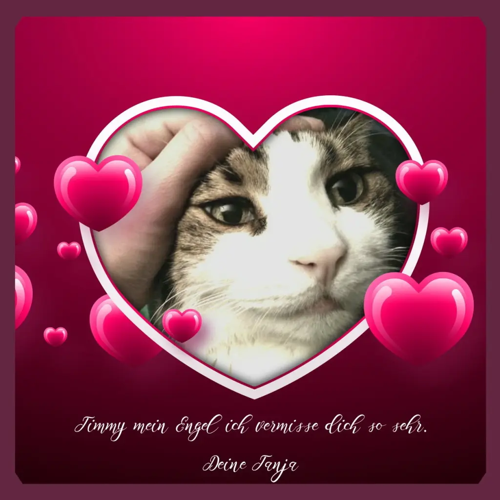 Condolence image of Sabine mit Kaspar tief im Herzen