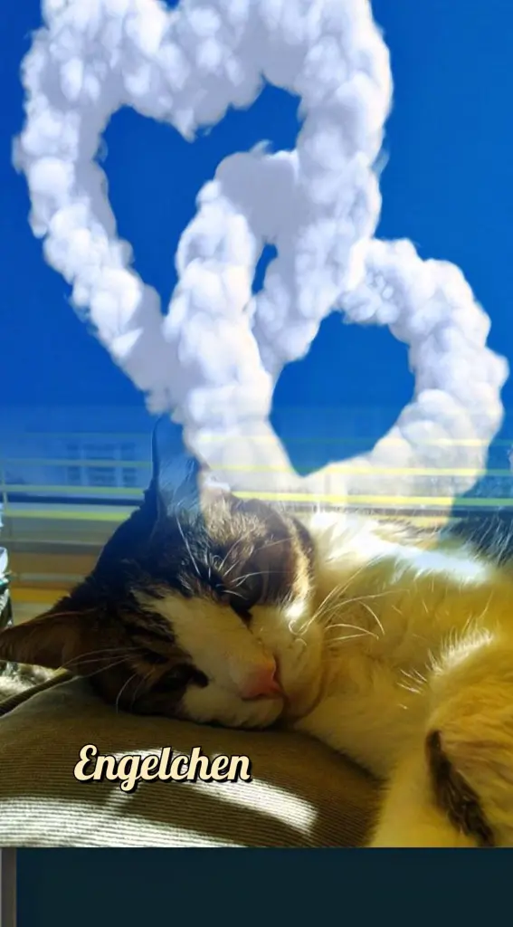 Condolence image of Ellen mit Lina ♥️