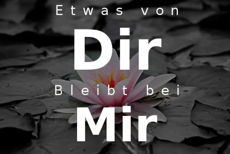 Condolence image of Von Deinem Frauchen Tanja