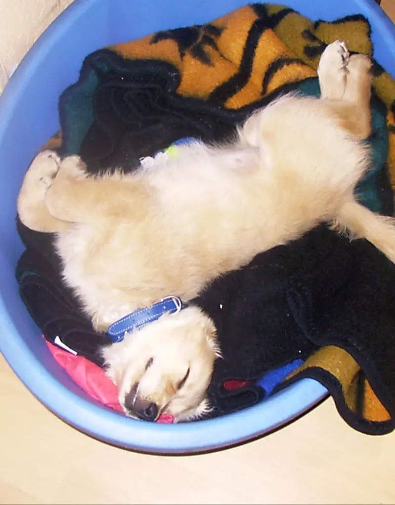 Condolence image of Ellen mit Lina ♥️