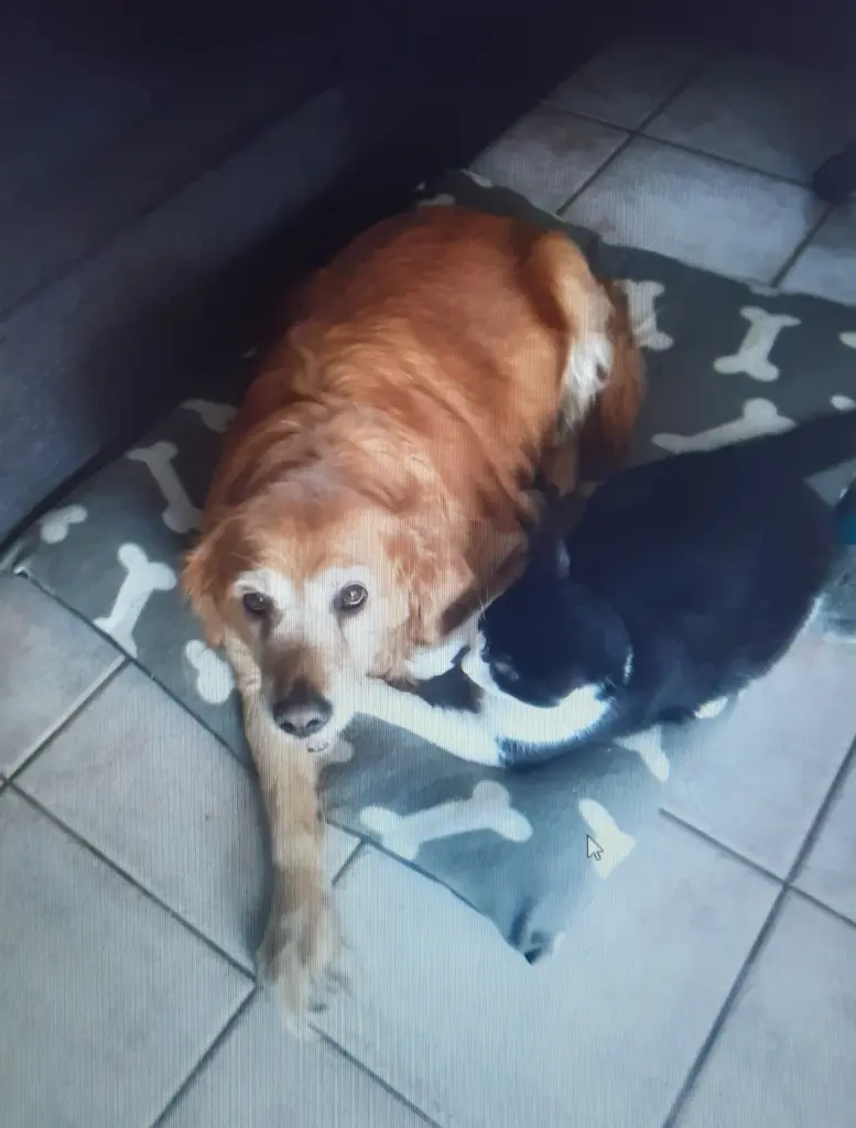 Condolence image of Ellen mit Lina ♥️