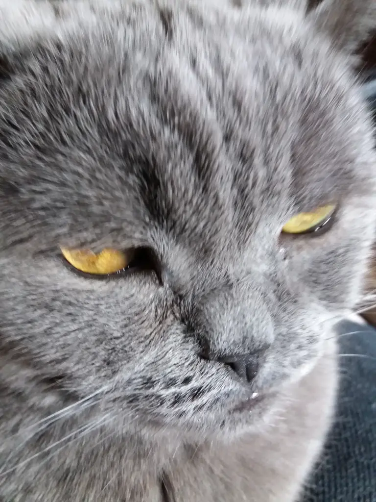 Condolence image of Sabine mit Kaspar tief im Herzen