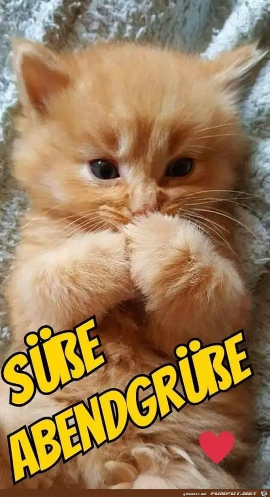 Condolence image of Ellen mit Lina ♥️