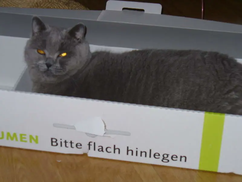 Condolence image of Sabine mit Kaspar tief im Herzen