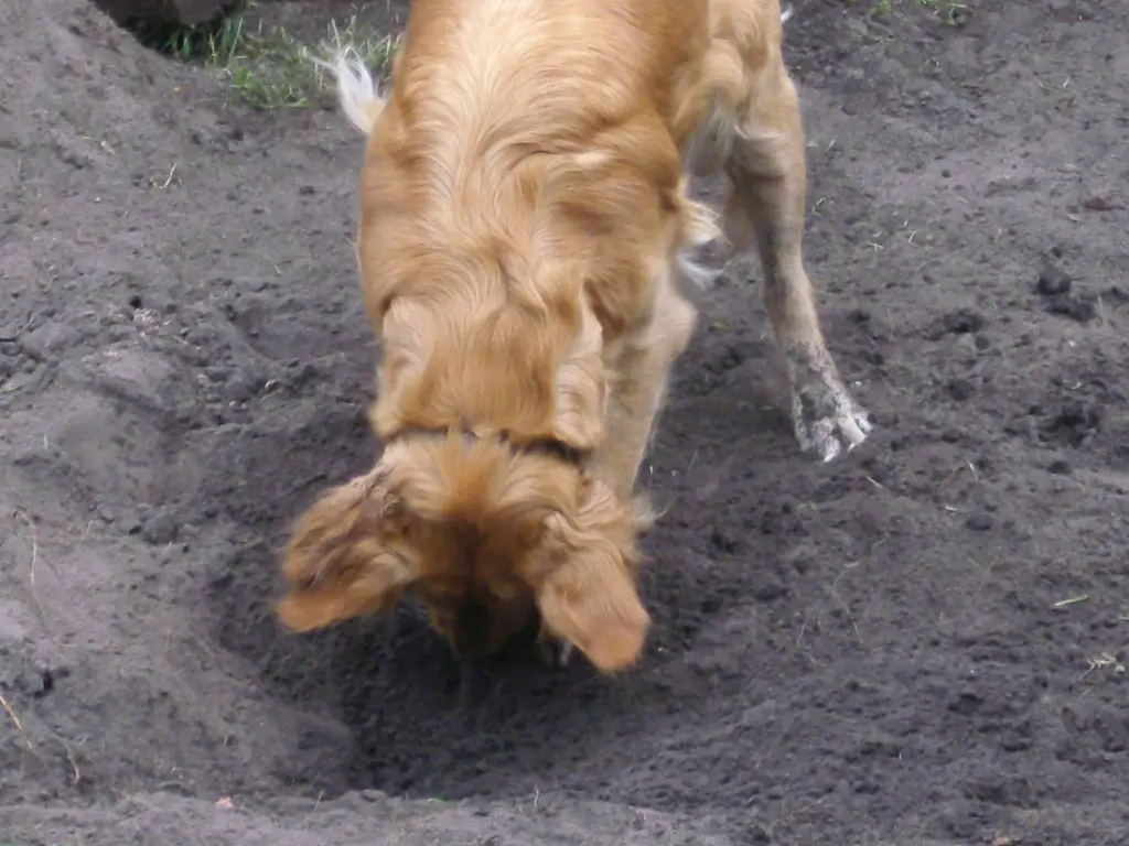 Condolence image of Ellen mit Lina ♥️