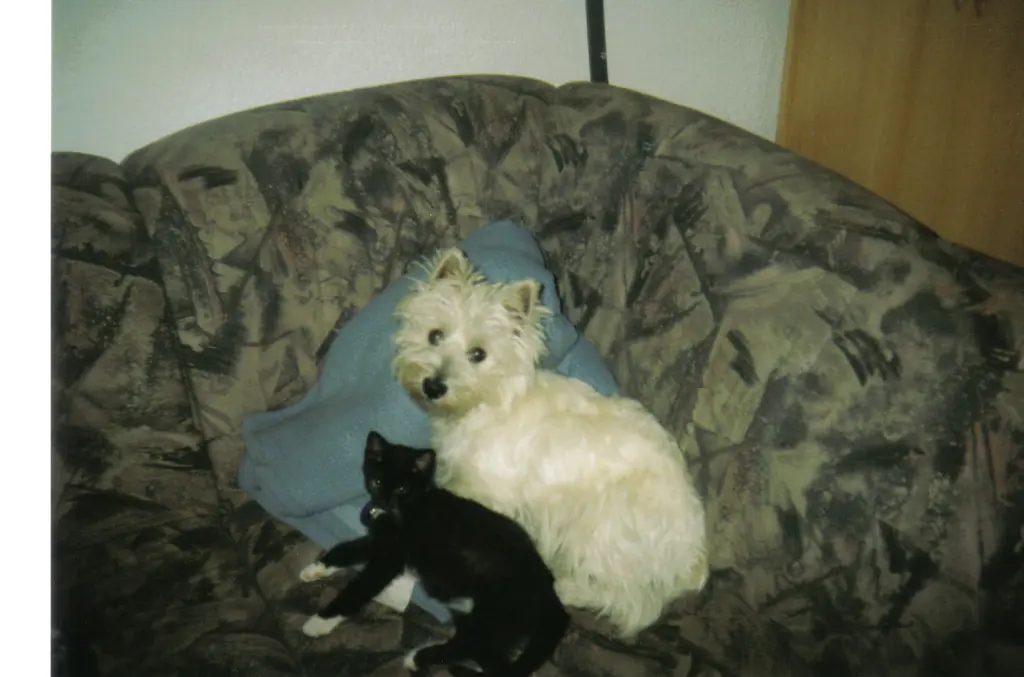 Condolence image of Ellen mit Lina ♥️