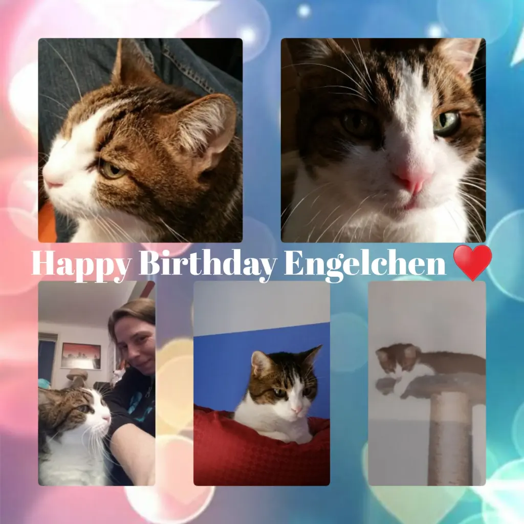 Condolence image of Ellen mit Lina ♥️