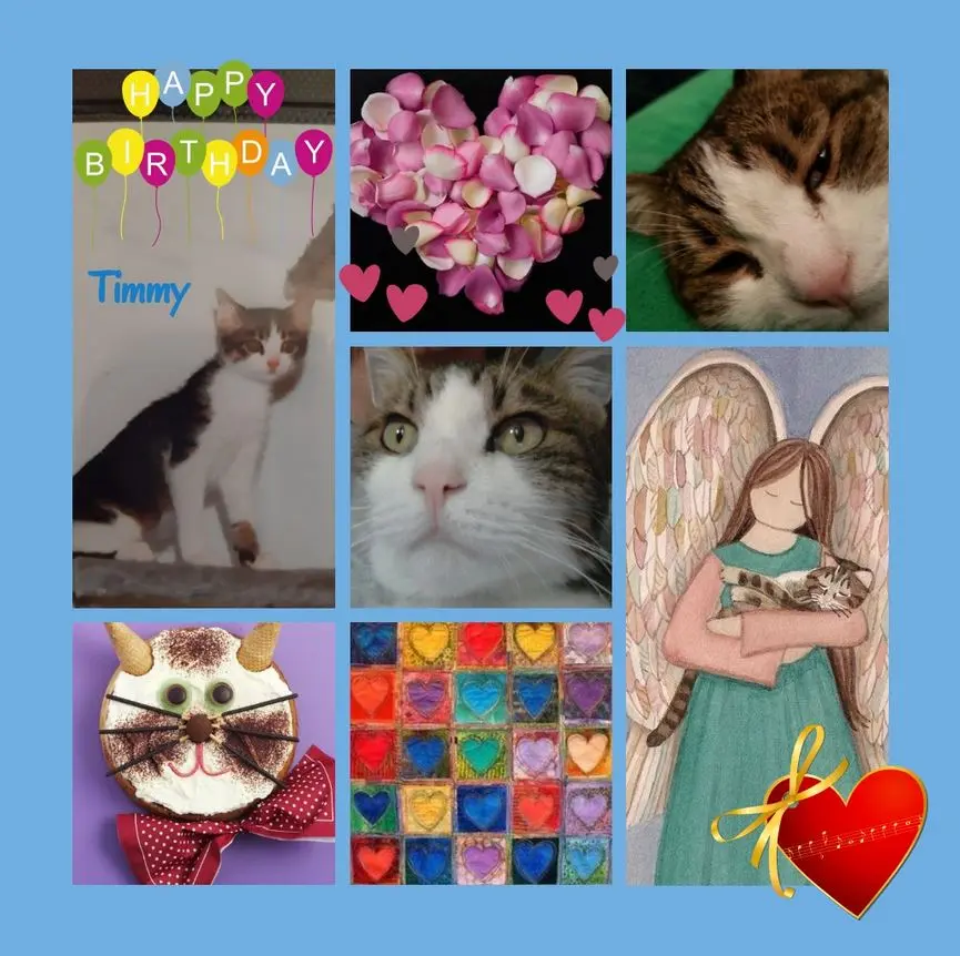 Condolence image of Rosen zum 19. Geburtstag