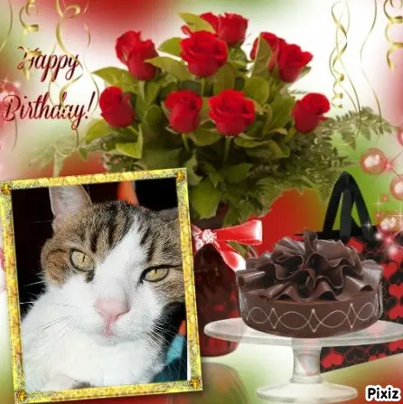 Condolence image of Jutta mit Purzel tief im Herzen✟08.05.2016 