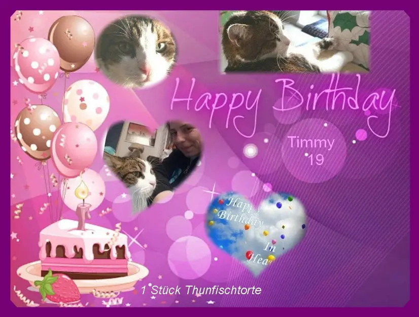 Condolence image of Sabine mit Kaspar tief im Herzen