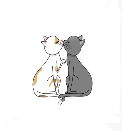 Condolence image of Kaspar Bärchen