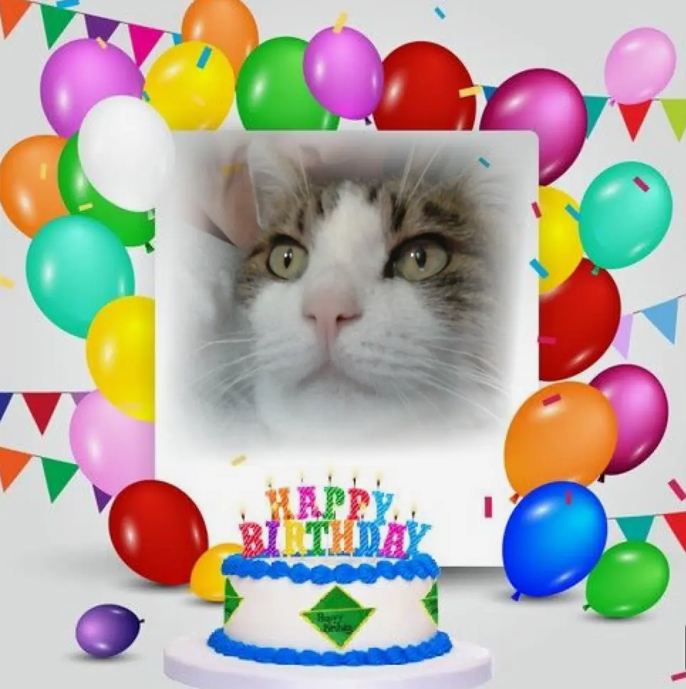 Condolence image of ❤️GEBURTSTAG KIND❤️