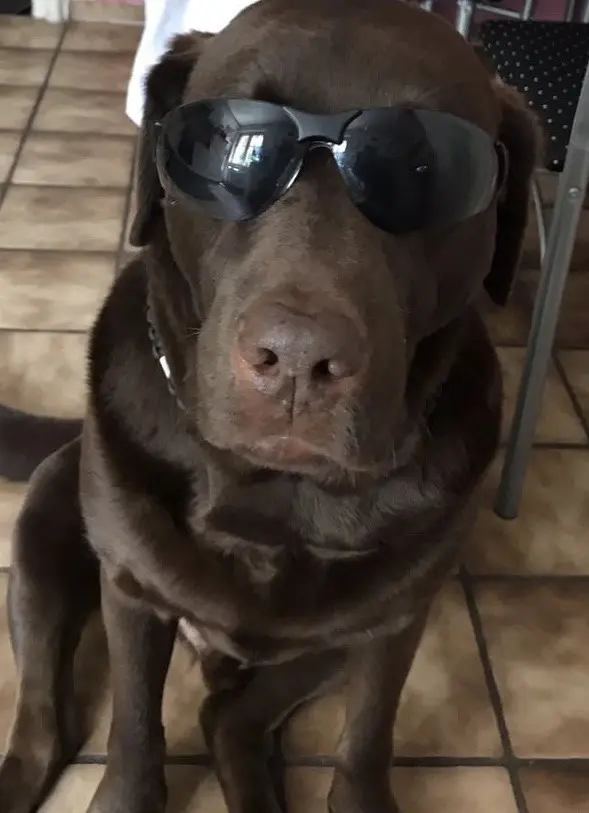 Condolence image of Jutta mit Flash  ♥️♥️