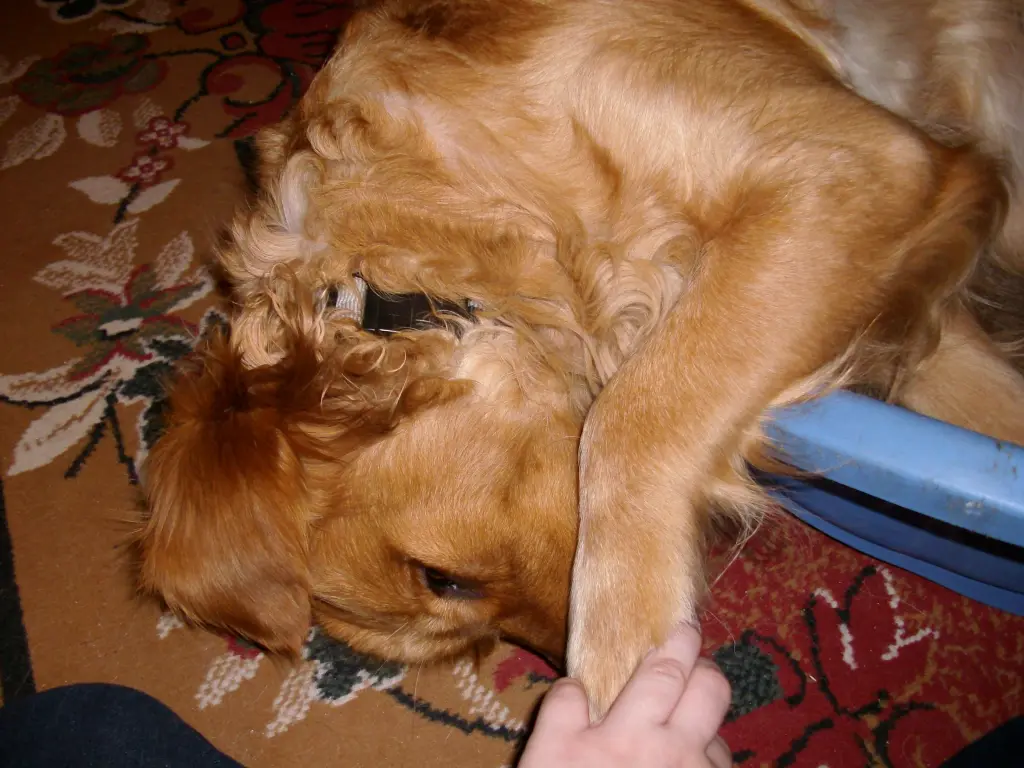 Condolence image of Ellen mit Lina ♥️