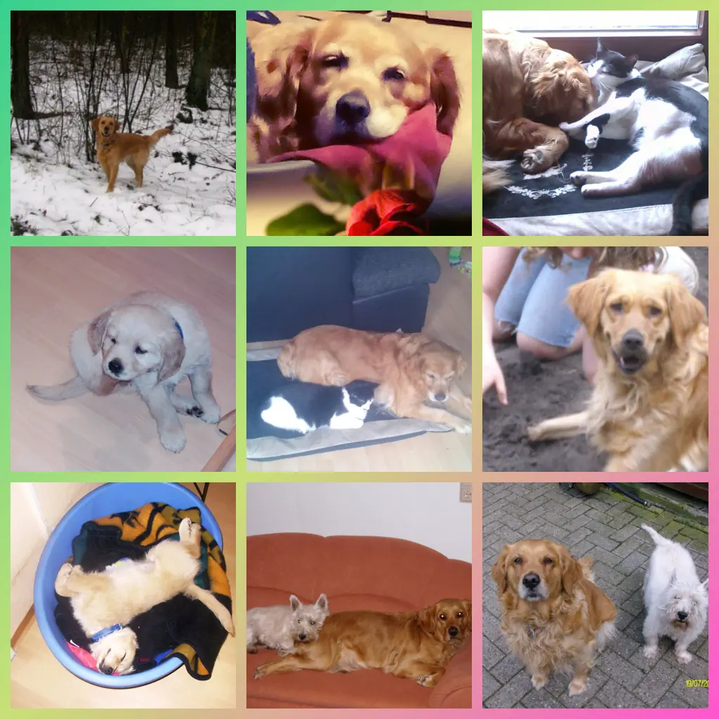 Condolence image of Ellen mit Lina ♥️