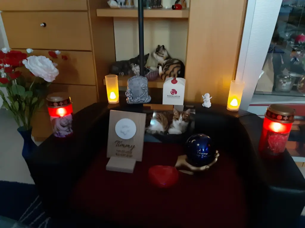 Condolence image of Von Deinem Frauchen Tanja