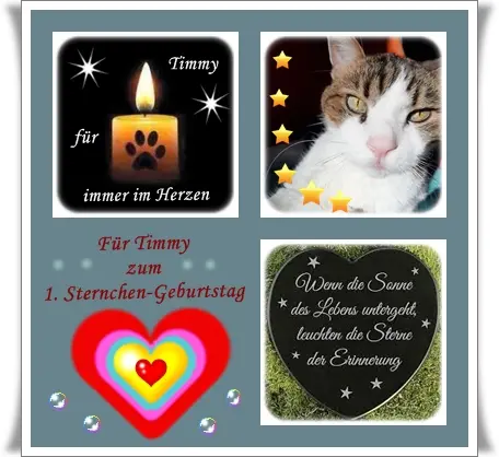 Condolence image of Ilse mit ihren geliebten Sternlein im Herzen